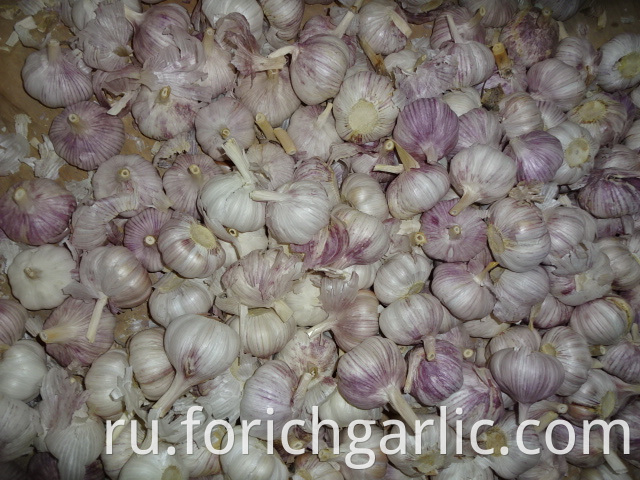 Different Sizes Fresh Normal White Garlic